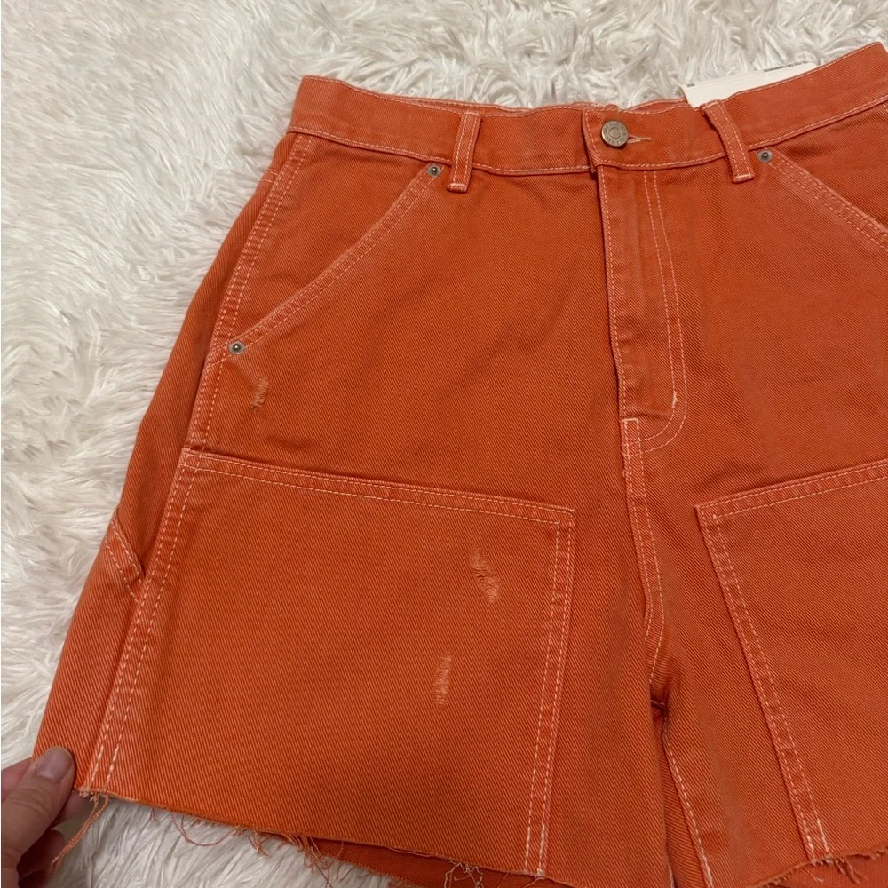 BDG Rust Cargo Shorts